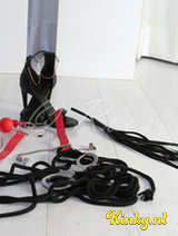 Roos - "Roos Exotisch fruit 100% NL