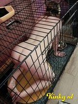 Jackie - Dutch sub girl; wanna play bdsm?