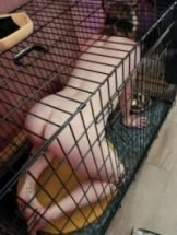 jackie-bdsm-via-kinky-6498754926f46900123ac4e8