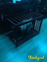 lola-bdsm-via-kinky-62db122e12abaf0019faa3f0