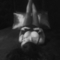 maartje-prive-ontvangst-via-kinky-6318a459e0392400121d79d7
