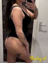 Loesje - Nederlandse poes