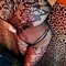 lila-bdsm-via-kinky-67c87581892ac60014e2f2b5