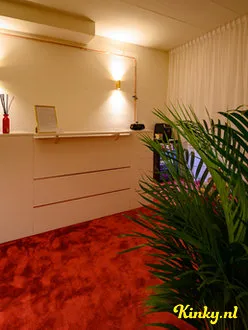 sugar-&-ecstacy-privehuis-in-rotterdam-6366c5cc3d80000012312654