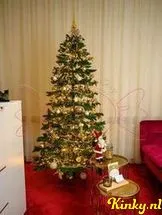 sugar-&-ecstacy-privehuis-in-rotterdam-6911d0a82ae1c7001222fb00