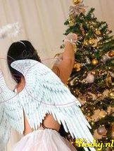 sugar-&-ecstacy-privehuis-in-rotterdam-6911d0abc0682f0013e0296c