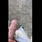 video thumb
