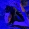 mistress-tofana-bdsm-via-kinky-63285d31846113001276f7b9