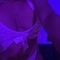 kelly-prive-ontvangst-via-kinky-65f889d291cfbd001a792d85