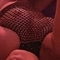 kelly-prive-ontvangst-via-kinky-66fc1810397663001375aee0
