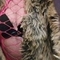 vanity-prive-ontvangst-via-kinky-6654bc2c637025001a29dd7d