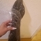 lara-bdsm-via-kinky-63cf7d50767ae2001ac9e326