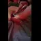 video thumb