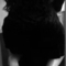 mya-prive-ontvangst-via-kinky-63ee14c485739e0012353781