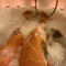 luana-prive-ontvangst-via-kinky-67a9c1d105f12d00127f0f5f