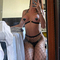 haley-prive-ontvangst-via-kinky-64975a3560e9d1001368e3c7