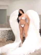 Belladona - Model Trans Luxury