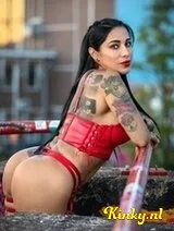 Polly - Not filter pleasure!