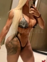 antonella-prive-ontvangst-via-kinky-6480a869156b0c0019648ec8
