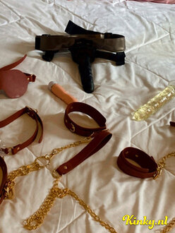 sofia-prive-ontvangst-via-kinky-67ffba79375bfd0013186ff7