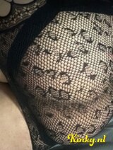 Catalina - Available