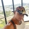 jan-prive-ontvangst-via-kinky-68a21c08c804110013f3778d