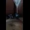 video thumb
