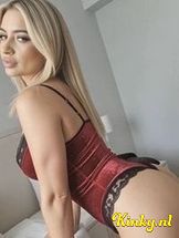 alice-prive-ontvangst-via-kinky-693458b19ca91f001354a311