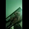 video thumb