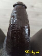 evans-prive-ontvangst-via-kinky-67deb511d2104e00135667a4