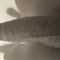 evans-prive-ontvangst-via-kinky-67abafd96396ea00130c6a57