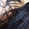 karolina-prive-ontvangst-via-kinky-65786b874f139f0012991500