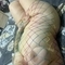 noortje-prive-ontvangst-via-kinky-67f3fb80b04b8d00132d51a9