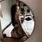 alisha-prive-ontvangst-via-kinky-67c0613dfbaa12001392b600