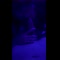 video thumb