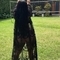 daniela-prive-ontvangst-via-kinky-66302801cb4bdb00198a69d6
