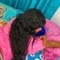 daniela-prive-ontvangst-via-kinky-6630c7e8d1f82d001a336e96