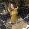 emily-escort-via-kinky-6764aec8f496d10012dd8183