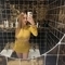 emily-escort-via-kinky-67bc84c262b045001329098c
