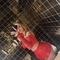 rosa-escort-via-kinky-67b92523329bcc001447b6dc