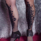 fion-prive-ontvangst-via-kinky-5cf6a206c072015e71799bc4