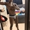 angel-prive-ontvangst-via-kinky-685932924783f70013b110eb