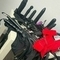 celine-prive-ontvangst-via-kinky-67bc6b91480f3d0013be4a4d
