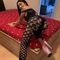 desire-prive-ontvangst-via-kinky-68fa0c4bc0682f0013e006e1