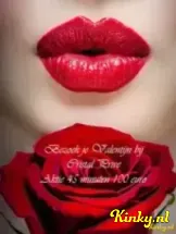 cristal-prive-privehuis-in-rotterdam-63eb509885739e0012353299