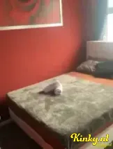 madame-jeanette-privehuis-in-den-haag-6664acd06e2ee9001aab2584