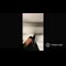 video thumb