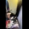 video thumb