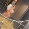 sara-escort-via-kinky-6854522b4783f70013b107ba