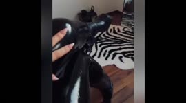 video